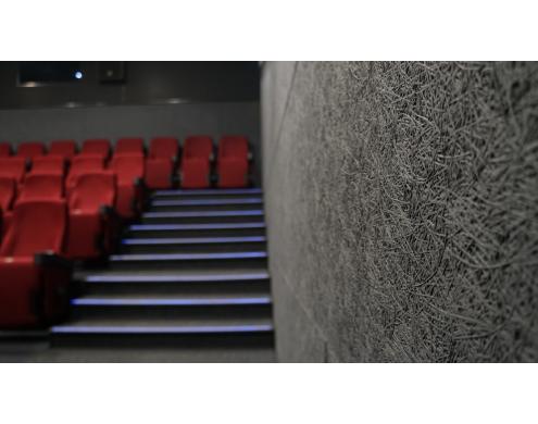 Acoustic Treatment of the Movie Theater Auditoriums